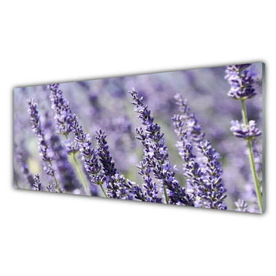 Glasbild aus Plexiglas® Blumen Pflanzen