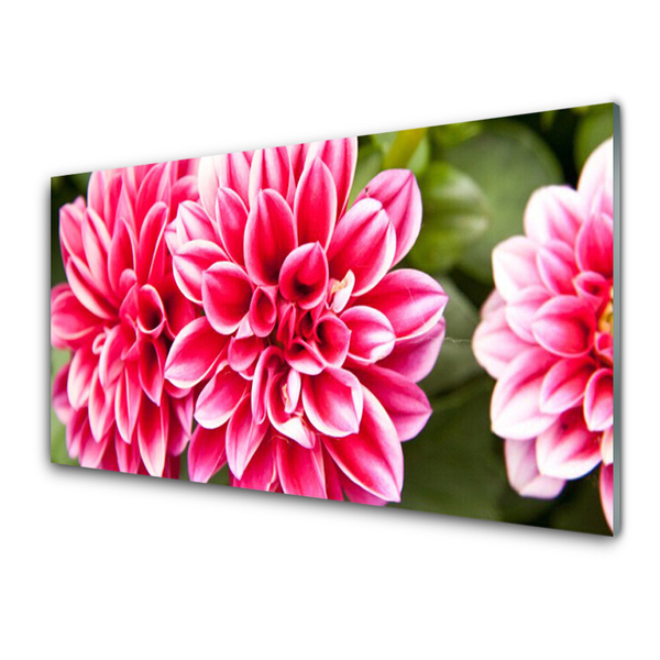 Glasbild aus Plexiglas® Blumen Pflanzen