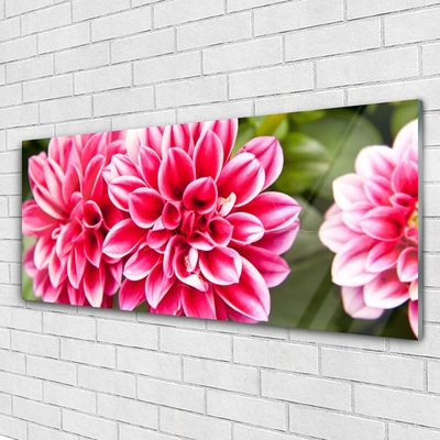 Glasbild aus Plexiglas® Blumen Pflanzen