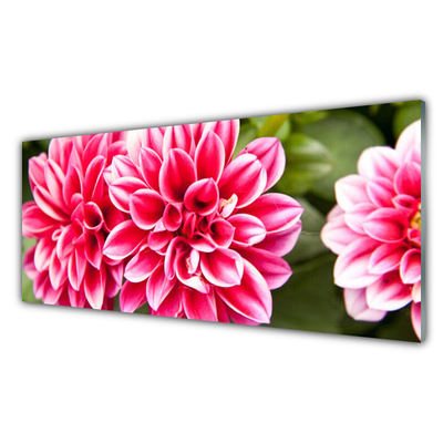 Glasbild aus Plexiglas® Blumen Pflanzen