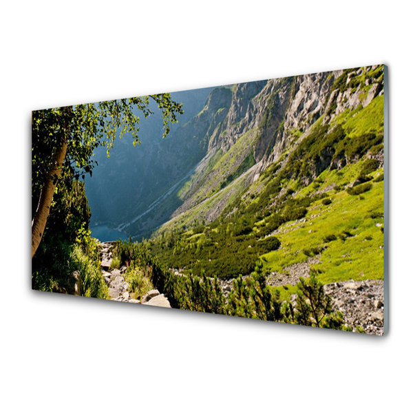 Glasbild aus Plexiglas® Gebirge Wald Natur