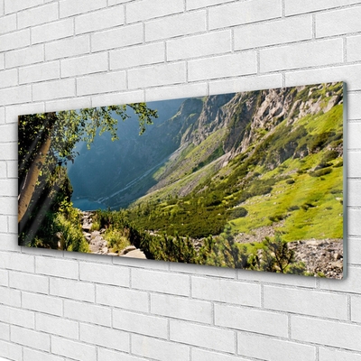 Glasbild aus Plexiglas® Gebirge Wald Natur