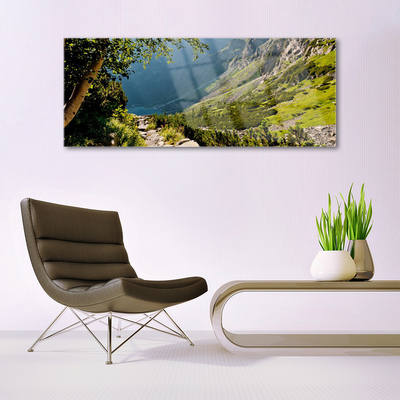 Glasbild aus Plexiglas® Gebirge Wald Natur