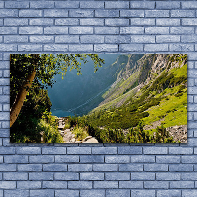 Glasbild aus Plexiglas® Gebirge Wald Natur