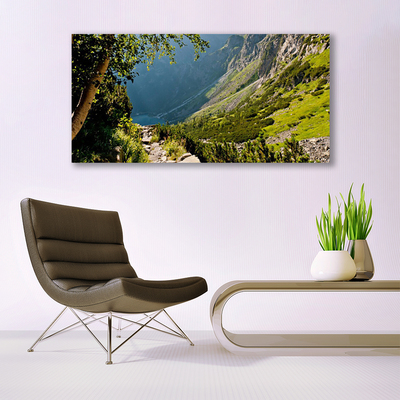 Glasbild aus Plexiglas® Gebirge Wald Natur