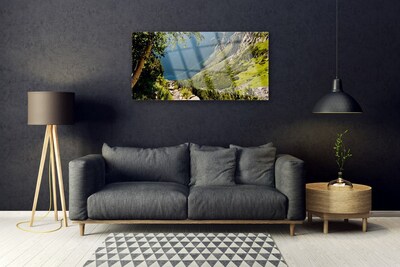 Glasbild aus Plexiglas® Gebirge Wald Natur