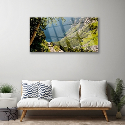 Glasbild aus Plexiglas® Gebirge Wald Natur