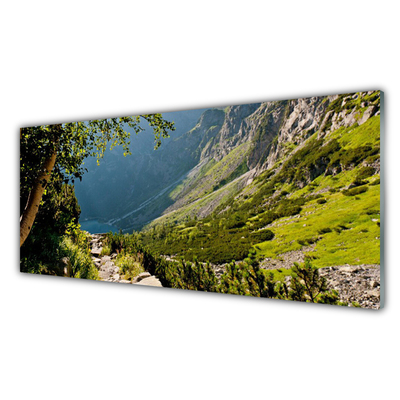 Glasbild aus Plexiglas® Gebirge Wald Natur