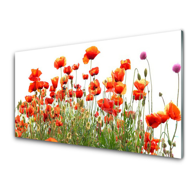 Glasbild aus Plexiglas® Mohnblumen Natur