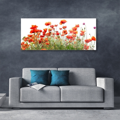 Glasbild aus Plexiglas® Mohnblumen Natur