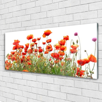 Glasbild aus Plexiglas® Mohnblumen Natur