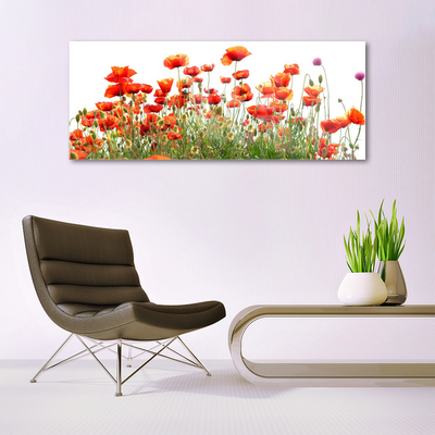 Glasbild aus Plexiglas® Mohnblumen Natur