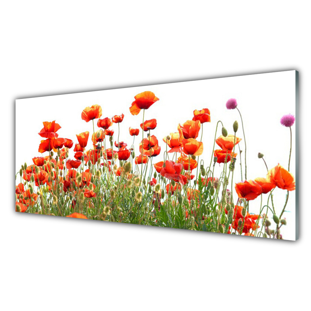 Mohnblumen Plexiglas® Glasbild aus Natur