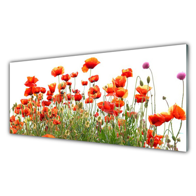 Glasbild aus Plexiglas® Mohnblumen Natur