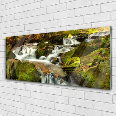 Glasbild aus Plexiglas® Wasserfall Felsen Natur