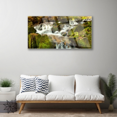 Glasbild aus Plexiglas® Wasserfall Felsen Natur