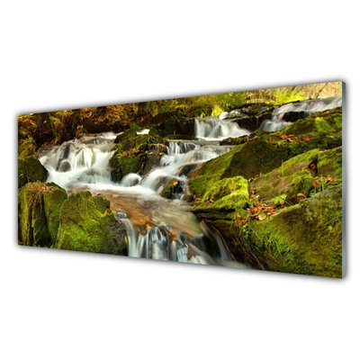 Glasbild aus Plexiglas® Wasserfall Felsen Natur