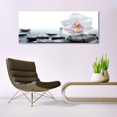 Glasbild aus Plexiglas® Blume Steine Kunst