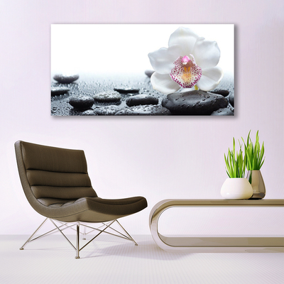 Glasbild aus Plexiglas® Blume Steine Kunst