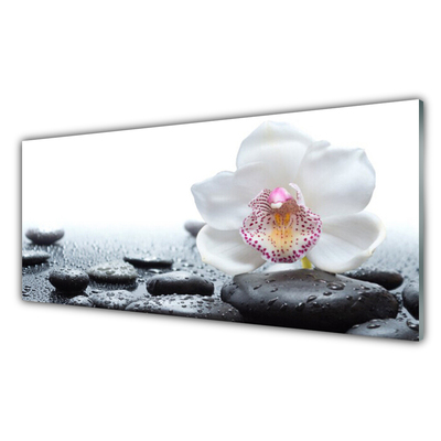 Glasbild aus Plexiglas® Blume Steine Kunst