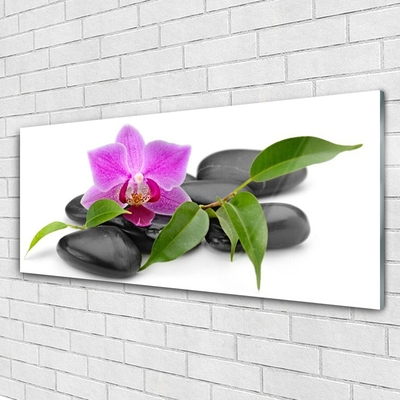 Glasbild aus Plexiglas® Blume Steine Kunst