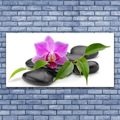 Glasbild aus Plexiglas® Blume Steine Kunst