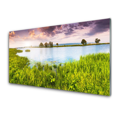 Glasbild aus Plexiglas® Gras See Natur