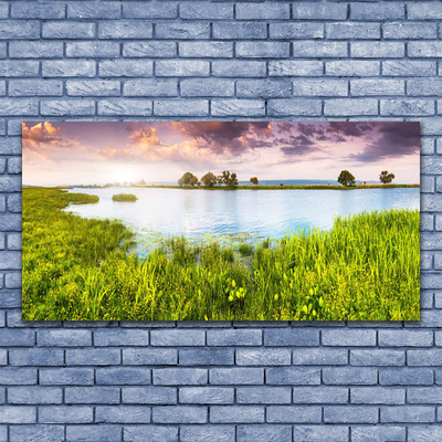 Glasbild aus Plexiglas® Gras See Natur