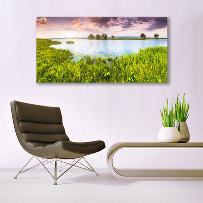 Glasbild aus Plexiglas® Gras See Natur