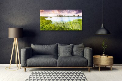 Glasbild aus Plexiglas® Gras See Natur