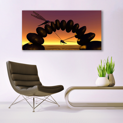 Glasbild aus Plexiglas® Libellen Steine Kunst