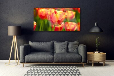 Glasbild aus Plexiglas® Tulpen Pflanzen