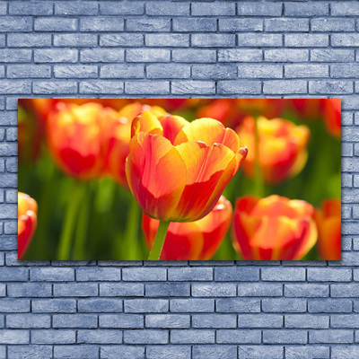 Glasbild aus Plexiglas® Tulpen Pflanzen