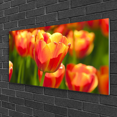 Glasbild aus Plexiglas® Tulpen Pflanzen