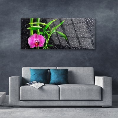 Glasbild aus Plexiglas® Bambusrohre Blume Pflanzen