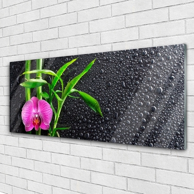 Glasbild aus Plexiglas® Bambusrohre Blume Pflanzen