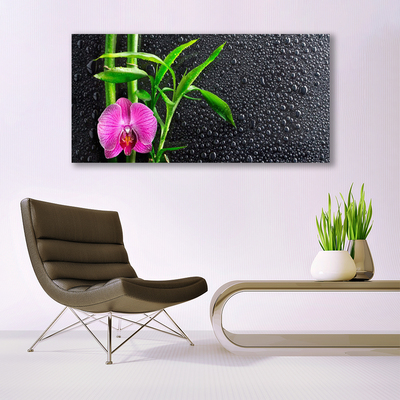 Glasbild aus Plexiglas® Bambusrohre Blume Pflanzen