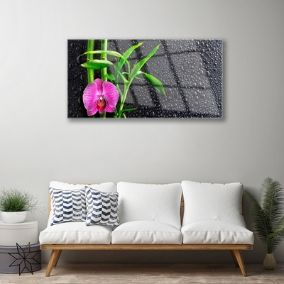 Glasbild aus Plexiglas® Bambusrohre Blume Pflanzen