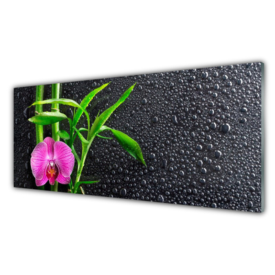 Glasbild aus Plexiglas® Bambusrohre Blume Pflanzen