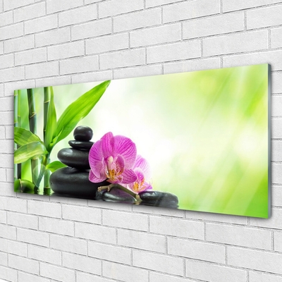 Glasbild aus Plexiglas® Bambusrohre Blume Steine Pflanzen