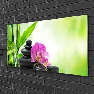 Glasbild aus Plexiglas® Bambusrohre Blume Steine Pflanzen