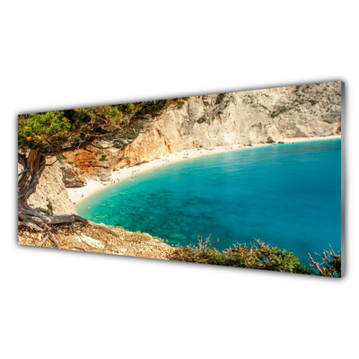 Glasbild aus Plexiglas® Bucht Baum Landschaft