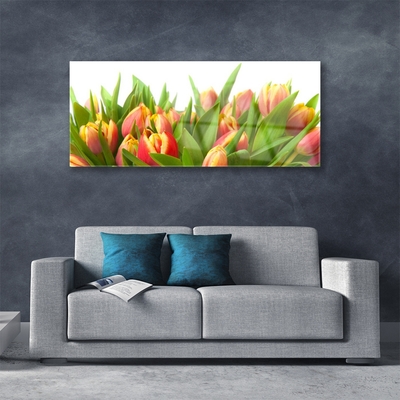 Glasbild aus Plexiglas® Tulpen Pflanzen