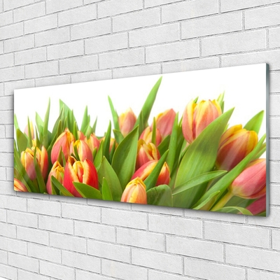 Glasbild aus Plexiglas® Tulpen Pflanzen