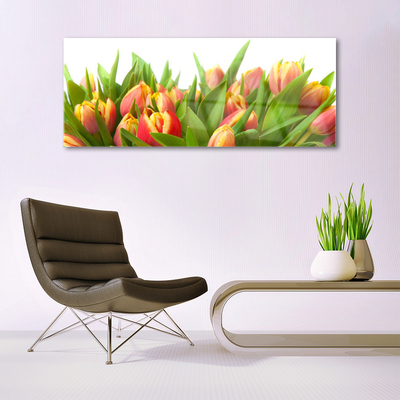 Glasbild aus Plexiglas® Tulpen Pflanzen