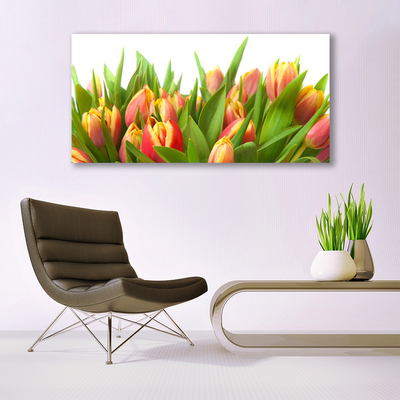 Glasbild aus Plexiglas® Tulpen Pflanzen