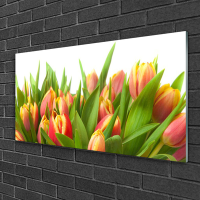 Glasbild aus Plexiglas® Tulpen Pflanzen