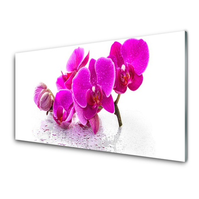 Glasbild aus Plexiglas® Blumen Pflanzen