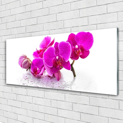 Glasbild aus Plexiglas® Blumen Pflanzen