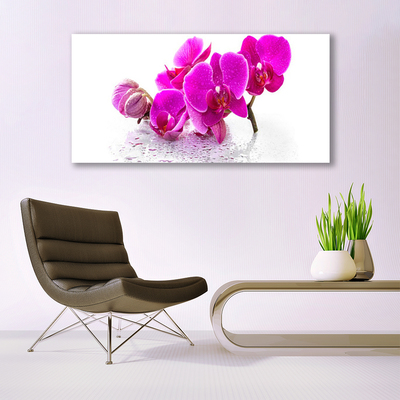 Glasbild aus Plexiglas® Blumen Pflanzen